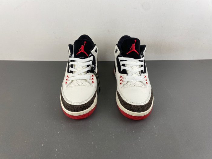 Air Jordan 3 Retro World